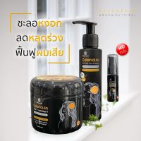 [ ส่งฟรี Kerry ] แชมพูดาวเรือง (1 ขวด 150 ml.) + ทรีทเม้นต์ผมดาวเรือง ไฉไล Chai lai Calendula Hair Treatment ทรีทเม้นท์ดาวเรือง ( 1 กระปุก 300 ml. ) + แถม Oil Serum