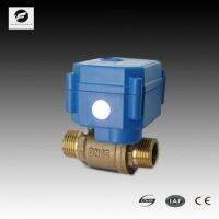 CE CWX 15N 2.0nm 5s DN15 motorized valve CR03 CR04 AC85 265V 110V 220V brass BSP reduced bore male male Electric Valve for water