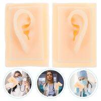 Ear Model Humansimulation Silicone Practice Professionalteaching Tool Earring Display Anatomy