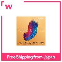 DAddario Ascente G Line A314แรงดึงปานกลาง1/2เมตรสำหรับไวโอลิน