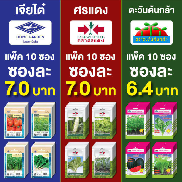 ขายส่ง-เมล็ดพันธุ์-ผักซอง-พันธุ์ผัก-แพ็คชนิดล่ะ-10-ซอง-ราคาเริ่มต้นที่แพ็คล่ะ-64-บาท-คละชนิดได้-เพียงเพิ่มใส่รถเข็นก่อนทำการสั่งซื้อ