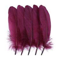 10/50/100pcs feathers Dyed various feather for crafts wedding party accessories 15-20cm/6-8 inch