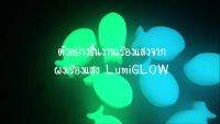 ( Promotion ) สุดคุ้ม  ผงเรืองแสง รุ่น EXTRA GLOW PLUS สีฟ้าน้ำทะเล  "เม็ดใหญ่สว่างกว่าเดิม" สว่างx3 กันน้ำ (25-100 กรัม) NexitGLOW_MPB700 ราคาถูก อุปกรณ์ ทาสี บ้าน แปรง ทาสี ลายไม้ อุปกรณ์ ทาสี ห้อง เครื่องมือ ทาสี