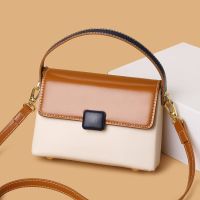 Factory Outlet Advanced Small Bag Female 2023 New Fashion Contrasting Hand -Colored Handbags Babes Versatile Leather