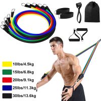 11Pcs/Set Latex Pull Rope Resistance Bands Indoor Portable Fitness Equipment Ankle Strap Exercise Training Expander Elastic Band Exercise Bands