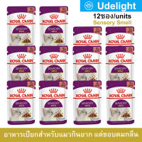 อาหารแมวเปียก Royal Canin Sensory Smell Gravy อาหารแมวกินยาก ชิ้นเนื้อในซอสเกรวี่ สำหรับแมวโตอายุ 1 ปีขึ้นไป 85กรัม (12ซอง)