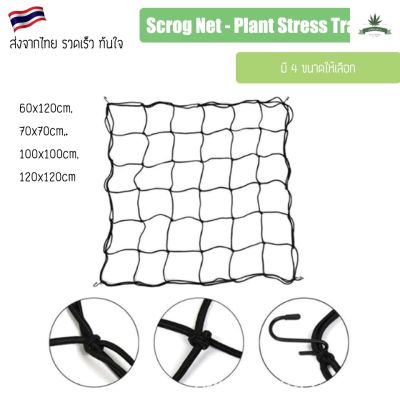 [สินค้าพร้อมจัดส่ง]⭐⭐ตาข่ายปลูกต้นไม้ Scrog Net - Plant Stress Training - LST[สินค้าใหม่]จัดส่งฟรีมีบริการเก็บเงินปลายทาง⭐⭐