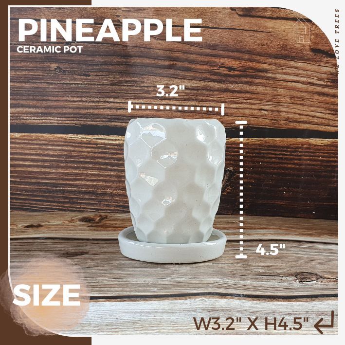 กระถางเซรามิค-ทรงสับปะรด-pineapple