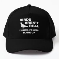 Birds Aren T Real Pigeons Are Liars Wake Baseball Cap Hat Outdoor Summer Mens Spring

 Hip Hop Snapback Printed Sun Solid Color