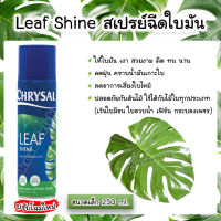 สเปรย์ฉีดใบมัน แท้100% คริสซอล 250 มล. (Chrysal Leaf Shine) สเปรย์ฉีดใบมัน สเปรย์ใบมัน