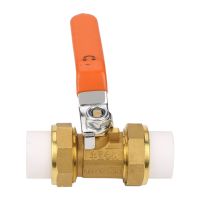 DN20 Ball Valve Brass and PPR Brass Ball Valve for Watering Equipment Garden Hose Fittings Home Improvement Garden Hose