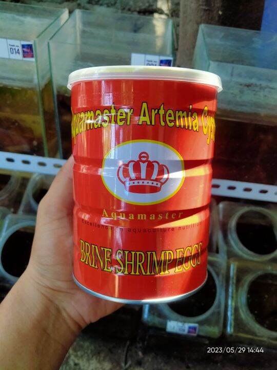 BABY BRINE SHRIMP (BBS) | Lazada PH