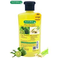 แชมพู  มะกรูดผสมตะไคร้ natural essence 350 ml.