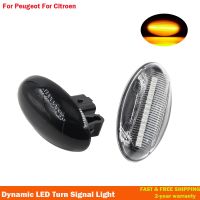 For Peugeot 307 206 407 107 607 1007 Citroen C1 C2 C3 C5 C6 Side Marker Light Dynamic LED Turn Signal Flashing Indicator Blinker