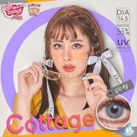 คอนเทคแลนส์ Kitty Kawaii ค่าสายตาปรกติ สีGray ลาย Cottage