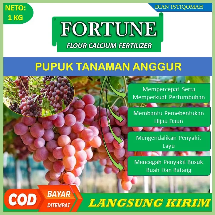 Promo Pupuk Kalsium Fortune 1 Kg Obat Busuk Tanaman Anggur Obat Anti Hama Buah Anggur 