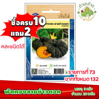 (ซื้อ10แถม2) เมล็ดพันธุ์ ฟักทอง ลายข้าวตอก Pumpkin ประมาณ 20เมล็ด เจียไต๋ เมล็ดพันธุ์พืช เมล็ดพันธุ์ผัก เมล็ดผัก เม็ดผัก ผักสวนครัว พืชผัก