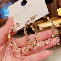 【YP】 BLIJERY 2021 New Twisted Metal Hoop Earrings for Jewelry Brincos Temperament Boucles doreill