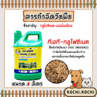 ริช ฮันเตอร์ ทีเอที กลูโฟซิเนต-แอมโมเนียม 15 เอสแอล 4ลิตร แกลลอนเขียว(สารกำจัดวัชพืช) ปราบวัชพืชใบแคบ-ใบกว้าง