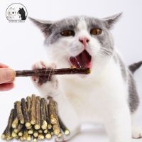 Hot Pure Natural Catnip Pet Cat Toy Suit Safety Molar Toothpaste Branch Cleaning Teeth Silvervine Cat Snacks Sticks Pet Supplies Toys