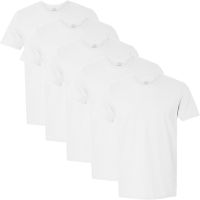 Fruit of the Loom Select Mens 5-Pack 100% Cotton Crew T-Shirts TGP527