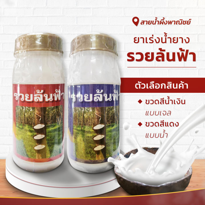 ยาเร่งน้ำยางพารา-รวยล้นฟ้า-สูตรเข้มข้น-บำรุงหน้ายางพารา-ทำให้หน้ายางนิ่ม-กรีดง่าย-เพิ่มน้ำยาง-สินค้าคุณภาพ-พร้อมส่ง