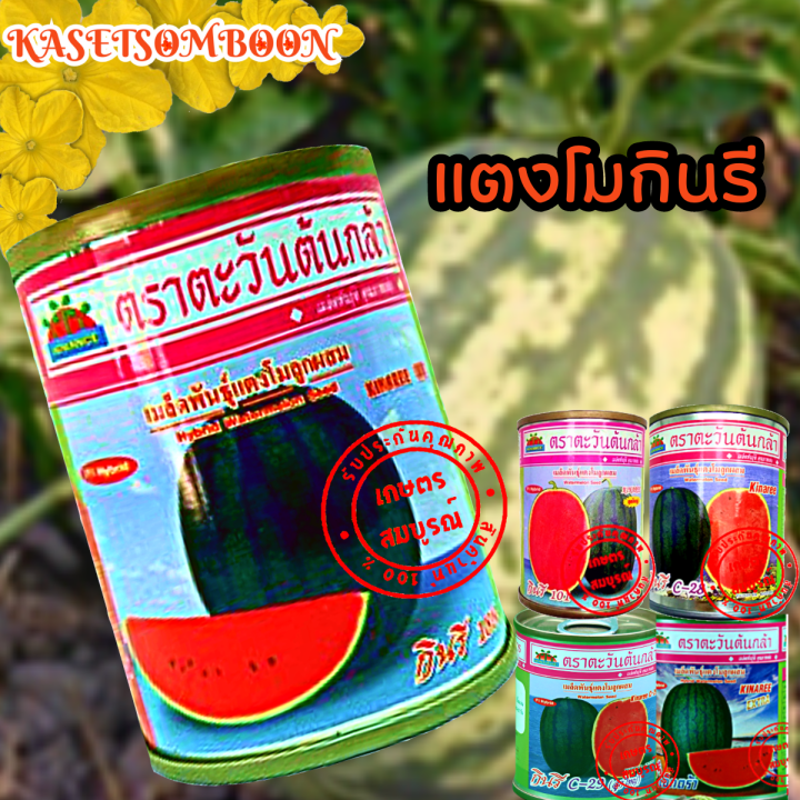 แตงโมกินรี188-101-c-28-c-29-เอ็กตร้า-40-ก-เมล็ดพันธุ์ตราตะวันต้นกล้า-เแตงโม-ลูกใหญ่