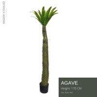 Premium Agave Tree 170 CM - ต้นอากาเว่ ความสูง 170 ซม. ต้นไม้ปลอม เกรดพรีเมี่ยม ต้นไม้ประดิษฐ์ Artificial Plant for home hotel resort decoration by Madam Khajee