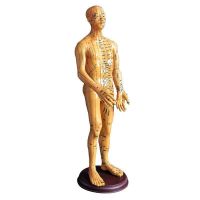 Zheng river acupuncture acupoints mannequins twelve meridians figure copper human body acupuncture point model person whole body small leather