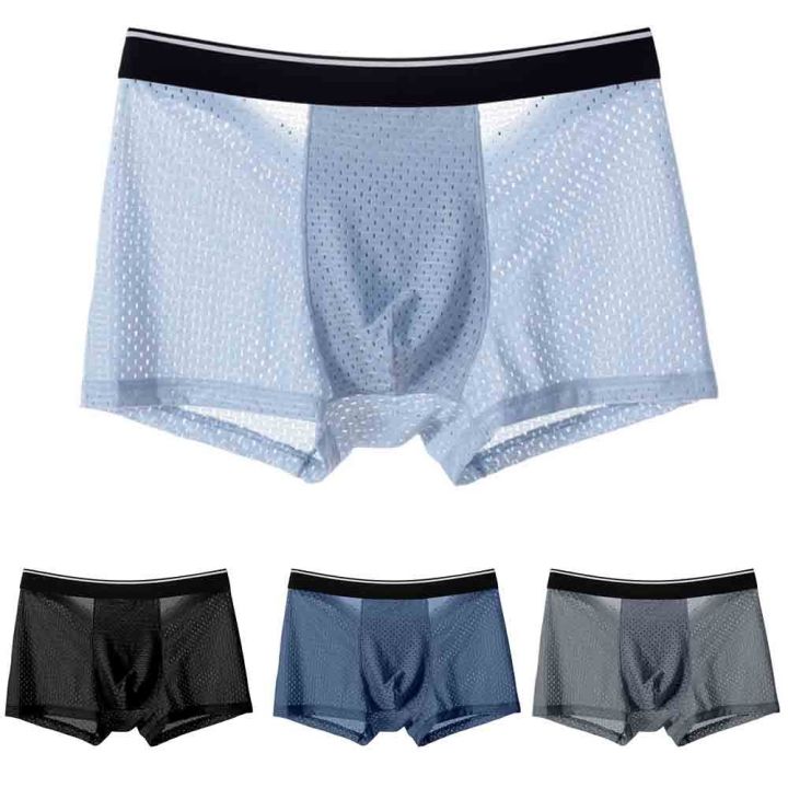Men Ice Silk Underwear Mesh Breathable Transparent Boxer Briefs Panties ...