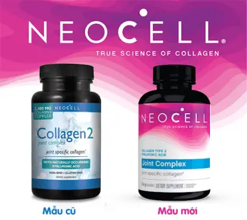 Collagen type 2 có tác dụng gì cho sức khỏe?
