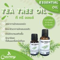 นํ้ามันหอมระเหยทีทรี | ที ทรี ออยล์ (Tea Tree Oil)