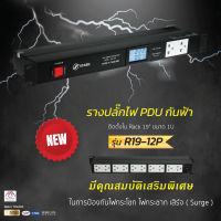 รางปลั๊กไฟ PDU กันฟ้า ( ติดตั้งใน Rack 19" ขนาด 1U ) รุ่น R19-12P ( PDU With Surge Protection Model : R19-12P )