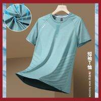 Outdoor feeling T-shirt male choli summer men ice silk quick-drying loose t-shirts sport leisure mens wear --ntx230801✸♞✜