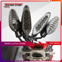 LED Turn Signal Light For DUCATI Multistrada 950 1200 1260 Streetfighter 848 1098 1100 1198 S/R Motorcycle Parts Indicator Lamps