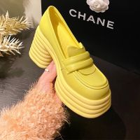 Mary Janes Shoes Women 2023 New Lolita High Heels Platform Sandals Fashion Chunky Pumps Shoes Sexy Oxford Femme Zapatos Summer