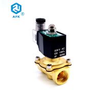 【hot】♚☌☼  2 Way Lpg Gas Solenoid 3/4 220VAC DN20 Electric 24V Closed 150degree