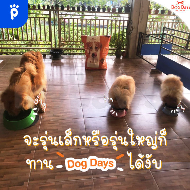 my-paws-dogdays-อาหารสุนัขเกรด-super-premium-สำหรับสุนัขโตเต็มวัย-3kg