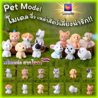 โมเดล ตุ๊กตาสุนัข ลูกสุนัข เรซิ่น ของจิ๋ว ประดับ ตกแต่งบ้าน แต่งสวน ตุ๊กตาจิ๋ว สินค้าพร้อมส่ง จากประเทศไทย