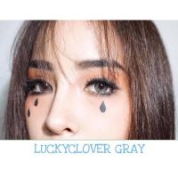 สินค้าแนะนำ  คอนแทคเลนส์ LUCKY CLOVER GRAY [][มีค่าสายตาสั้นถึง 700] สีเทาขนาดมินิเซ็กซี่สินค้าแนะนำ