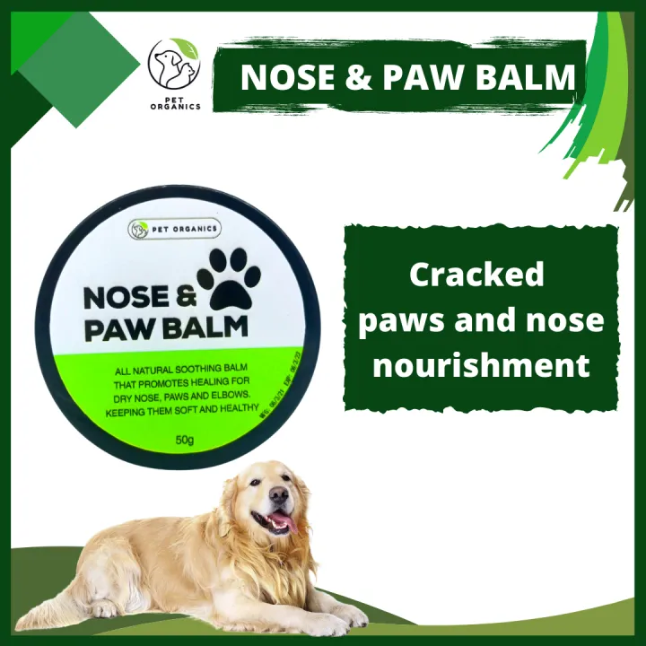 How Can I Moisturize My Dog