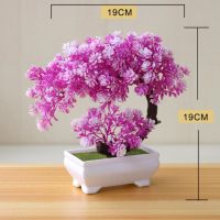 【CC】 Desktop Small Potted Artificial Vera Bonsai Fake Desk Decoration Garden