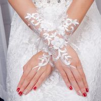 ◎ Wedding Gloves New Fingerless Bridal Glove with Pearls Appliqued Elegant Bridal Wedding Accessories