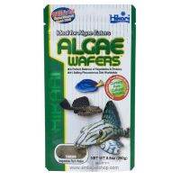 ❤สุดปัง❤ Hikari Algae Wafers (อาหารสำหรับปลาพื้นตู้ และปลาทะเล สูตรผสมสาหร่าย)  wpd1.3138❗❗พร้อมส่งทันที❗❗