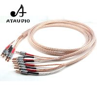 12TC Hifi Speaker Cable With 2 Banana Plug to 4 Banana Jack Hi-end OCC Speaker Wire