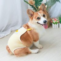 จัดส่งฟรี ร้านไทย️ ชุดอนามัยสำหรับน้องหมาตัวเมีย ขนาดใหญ่ Size XL pet