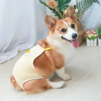 เสื้อผ้าสัตว์เลี้ยง ร้านไทย️ ชุดอนามัยสำหรับน้องหมาตัวเมีย ขนาดใหญ่ Size XL pets costumes ชุดหมา ชุดแมว ส่งฟรี