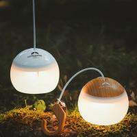 Mini Retro Camping Lantern USB Rechargeable Light Hanging Hook Night Light Tent Table Light for Outdoor Emergency Camping Lamp