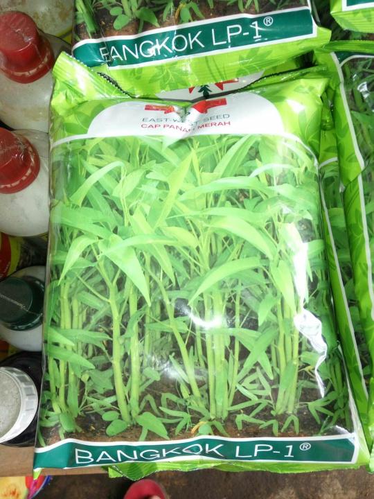 Benih Kangkung Bangkok Lp 1 Dari Panah Merah Kemasan 1 Kg Lazada