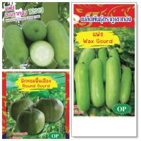 เมล็ดฟัก แฟง (GOURD) ผลผลิตสูง ปลูกได้ตลอดปี สายพันธุ์ OP และลูกผสม (HYBRID) ฟักหอม ฟักแฟง